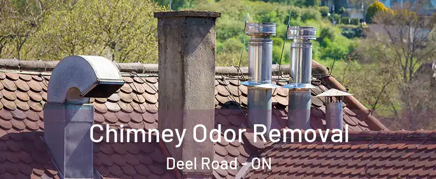  Chimney Odor Removal Deel Road - ON