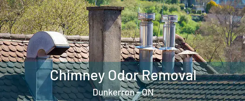  Chimney Odor Removal Dunkerron - ON