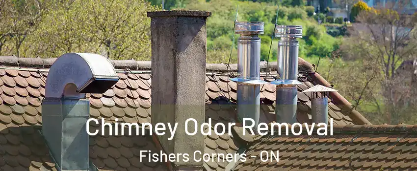  Chimney Odor Removal Fishers Corners - ON