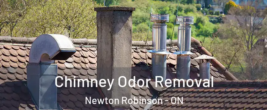  Chimney Odor Removal Newton Robinson - ON