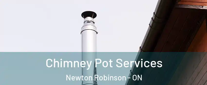  Chimney Pot Services Newton Robinson - ON