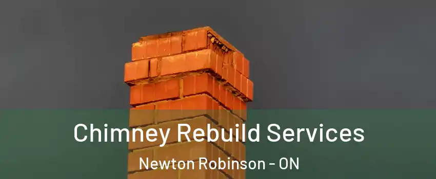  Chimney Rebuild Services Newton Robinson - ON