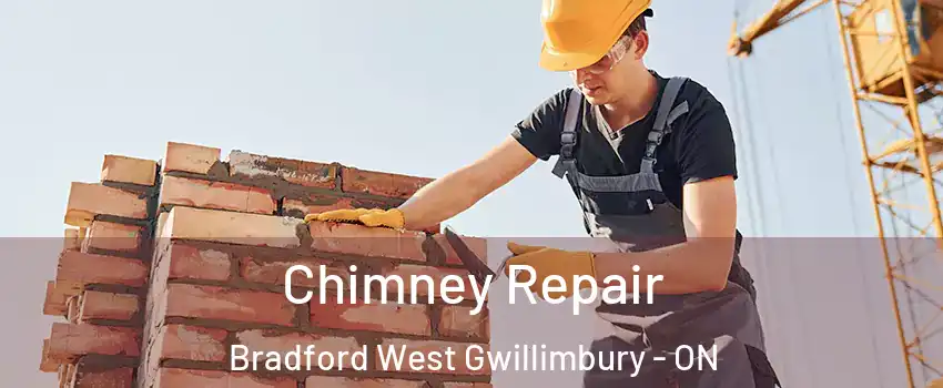 Chimney Repair Bradford West Gwillimbury - ON