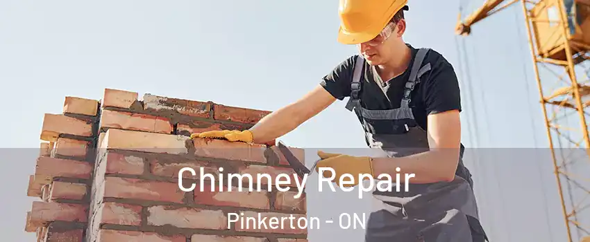  Chimney Repair Pinkerton - ON