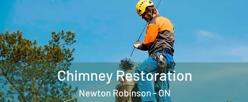  Chimney Restoration Newton Robinson - ON