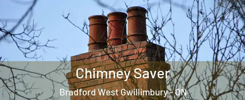  Chimney Saver Bradford West Gwillimbury - ON