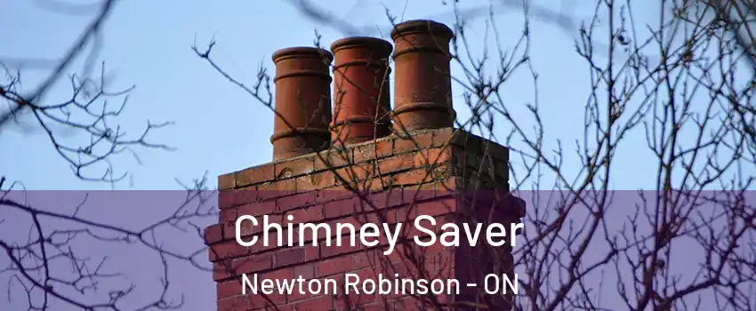 Chimney Saver Newton Robinson - ON