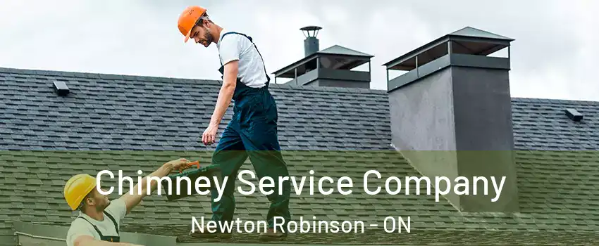  Chimney Service Company Newton Robinson - ON