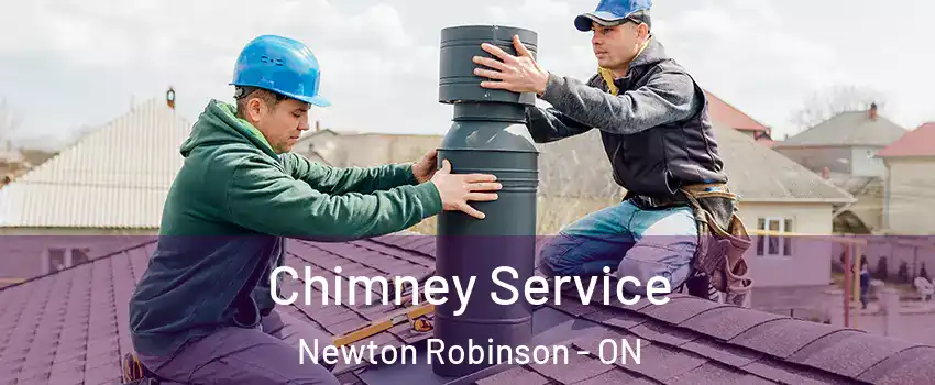  Chimney Service Newton Robinson - ON