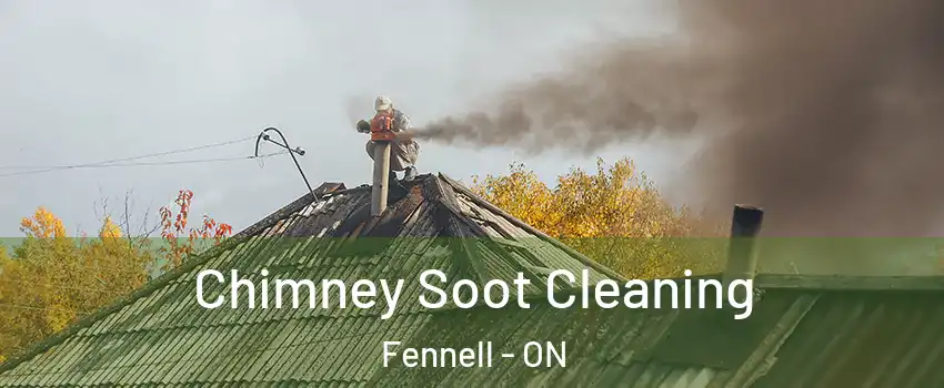  Chimney Soot Cleaning Fennell - ON