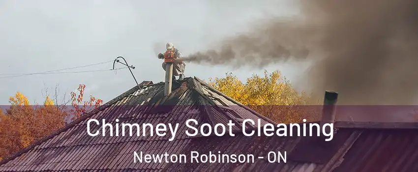  Chimney Soot Cleaning Newton Robinson - ON