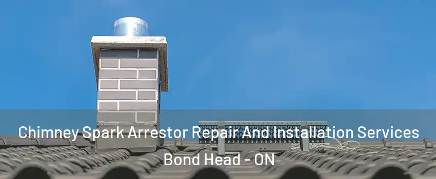  Chimney Spark Arrestor Repair And Installation Services Bond Head - ON