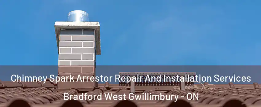  Chimney Spark Arrestor Repair And Installation Services Bradford West Gwillimbury - ON