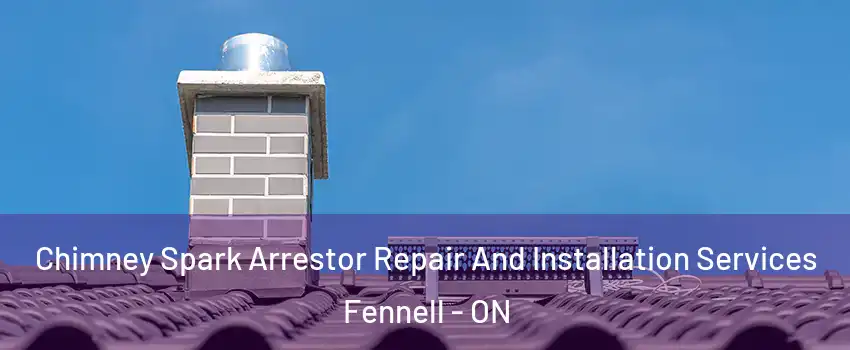  Chimney Spark Arrestor Repair And Installation Services Fennell - ON
