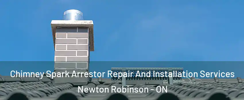  Chimney Spark Arrestor Repair And Installation Services Newton Robinson - ON
