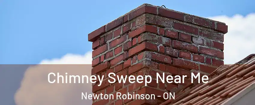  Chimney Sweep Near Me Newton Robinson - ON