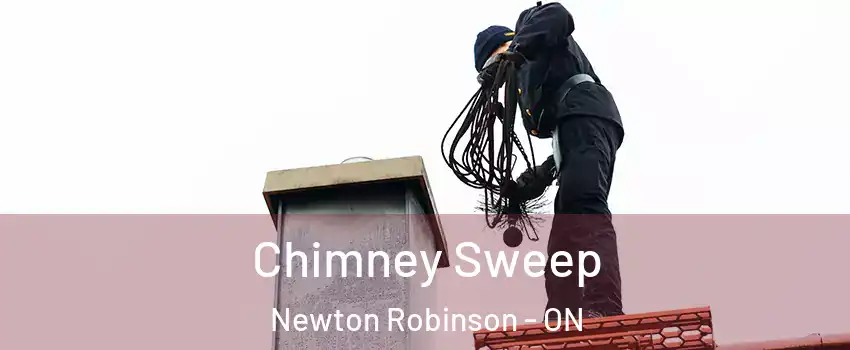  Chimney Sweep Newton Robinson - ON
