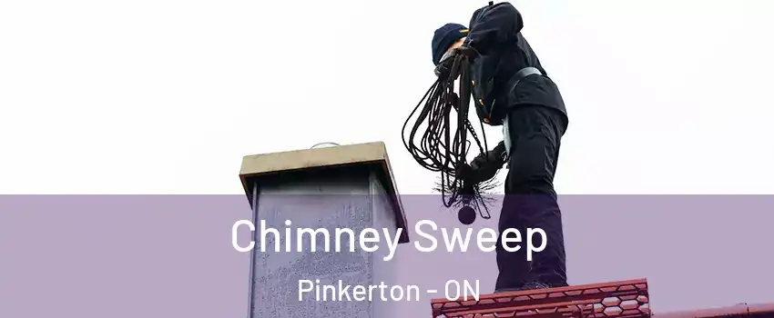  Chimney Sweep Pinkerton - ON