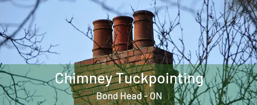  Chimney Tuckpointing Bond Head - ON
