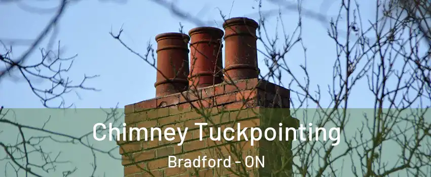  Chimney Tuckpointing Bradford - ON