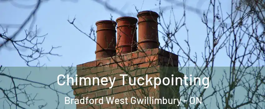  Chimney Tuckpointing Bradford West Gwillimbury - ON