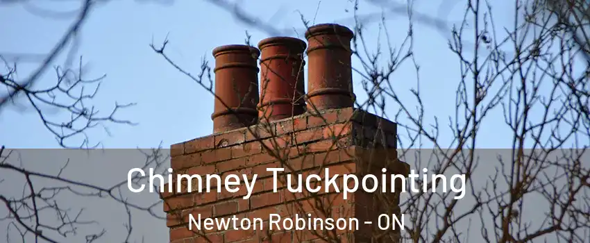  Chimney Tuckpointing Newton Robinson - ON