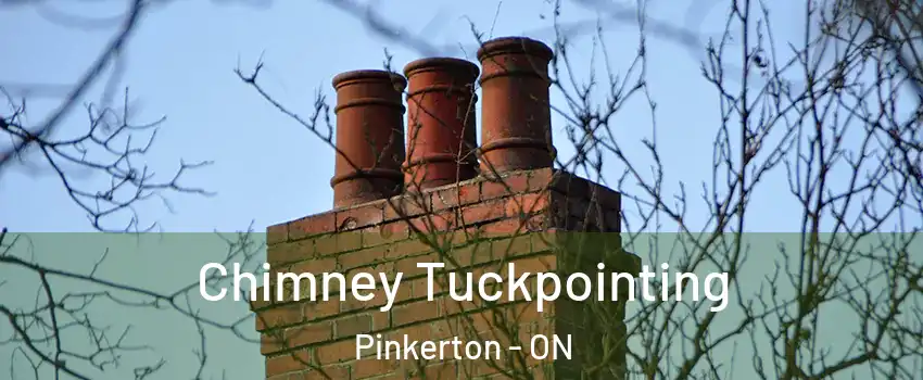  Chimney Tuckpointing Pinkerton - ON