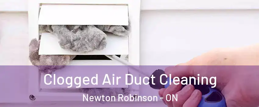  Clogged Air Duct Cleaning Newton Robinson - ON