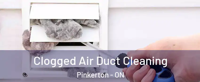 Clogged Air Duct Cleaning Pinkerton - ON