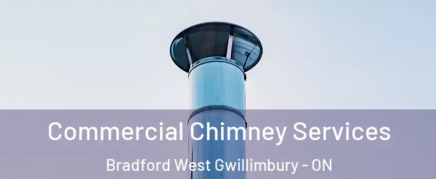  Commercial Chimney Services Bradford West Gwillimbury - ON