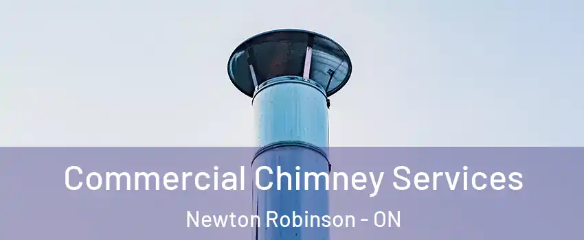 Commercial Chimney Services Newton Robinson - ON