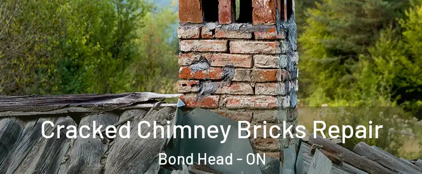  Cracked Chimney Bricks Repair Bond Head - ON
