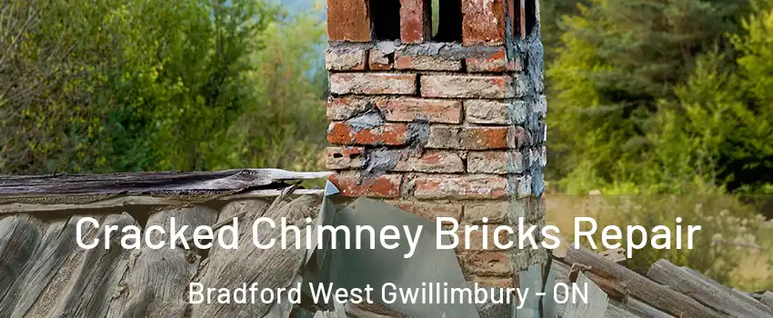  Cracked Chimney Bricks Repair Bradford West Gwillimbury - ON