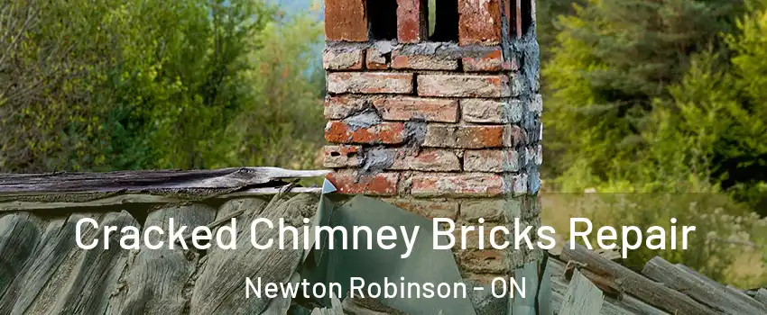  Cracked Chimney Bricks Repair Newton Robinson - ON