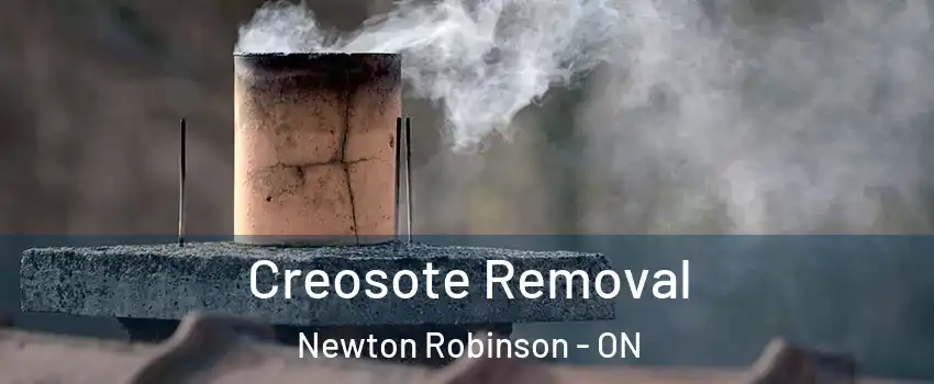  Creosote Removal Newton Robinson - ON