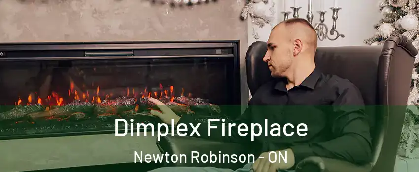  Dimplex Fireplace Newton Robinson - ON