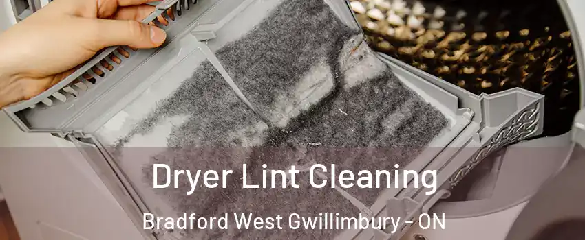  Dryer Lint Cleaning Bradford West Gwillimbury - ON