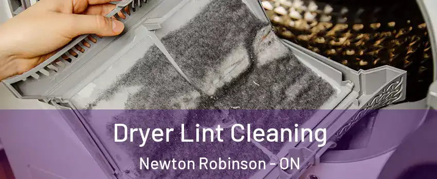  Dryer Lint Cleaning Newton Robinson - ON