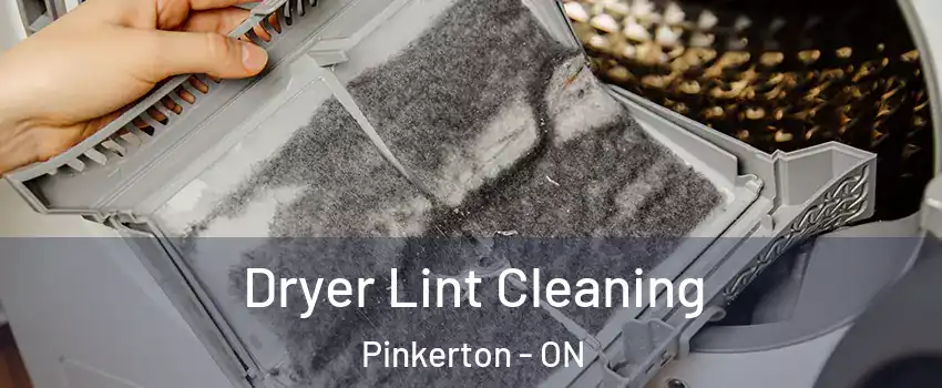  Dryer Lint Cleaning Pinkerton - ON