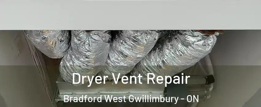  Dryer Vent Repair Bradford West Gwillimbury - ON