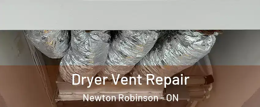  Dryer Vent Repair Newton Robinson - ON