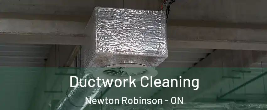  Ductwork Cleaning Newton Robinson - ON