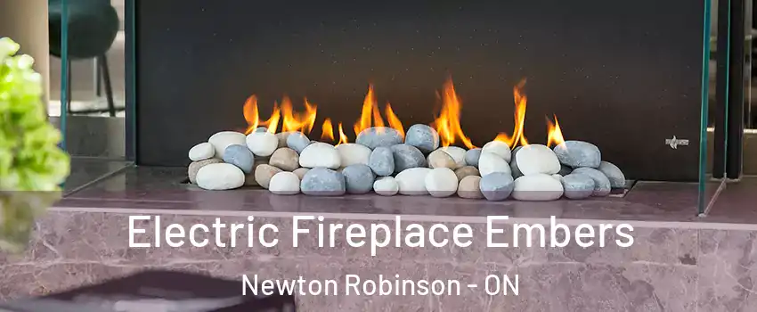  Electric Fireplace Embers Newton Robinson - ON