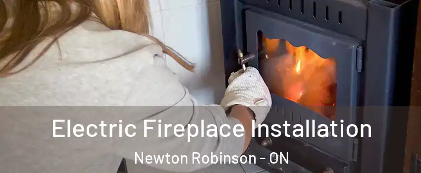  Electric Fireplace Installation Newton Robinson - ON