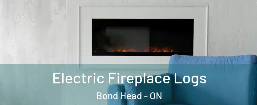  Electric Fireplace Logs Bond Head - ON