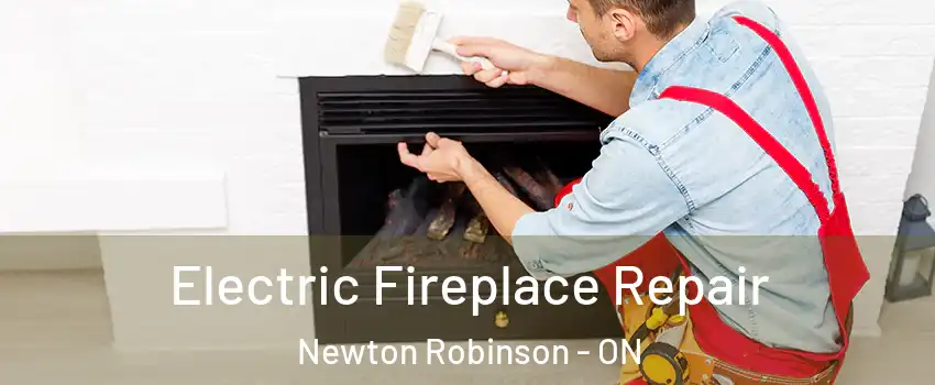  Electric Fireplace Repair Newton Robinson - ON