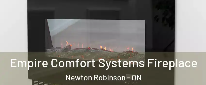 Empire Comfort Systems Fireplace Newton Robinson - ON