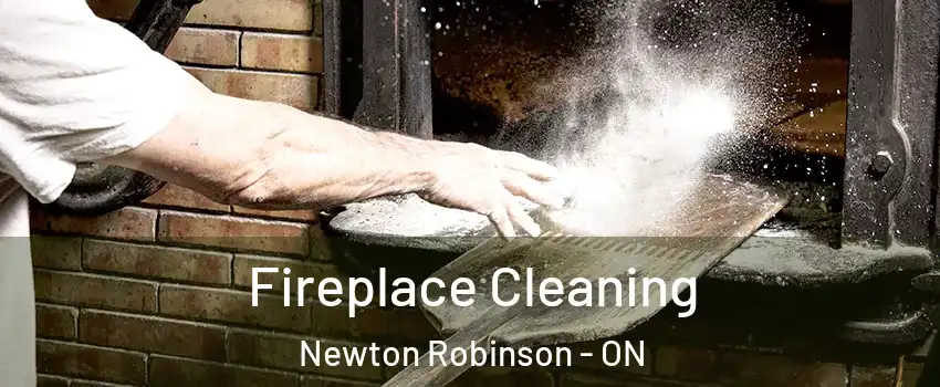  Fireplace Cleaning Newton Robinson - ON