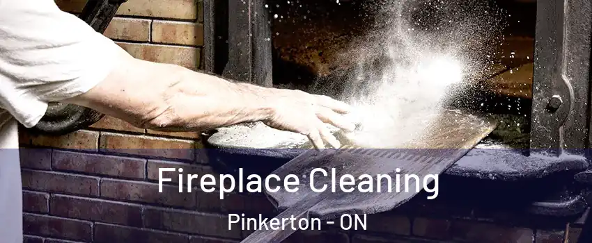  Fireplace Cleaning Pinkerton - ON