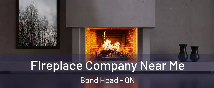  Fireplace Company Near Me Bond Head - ON